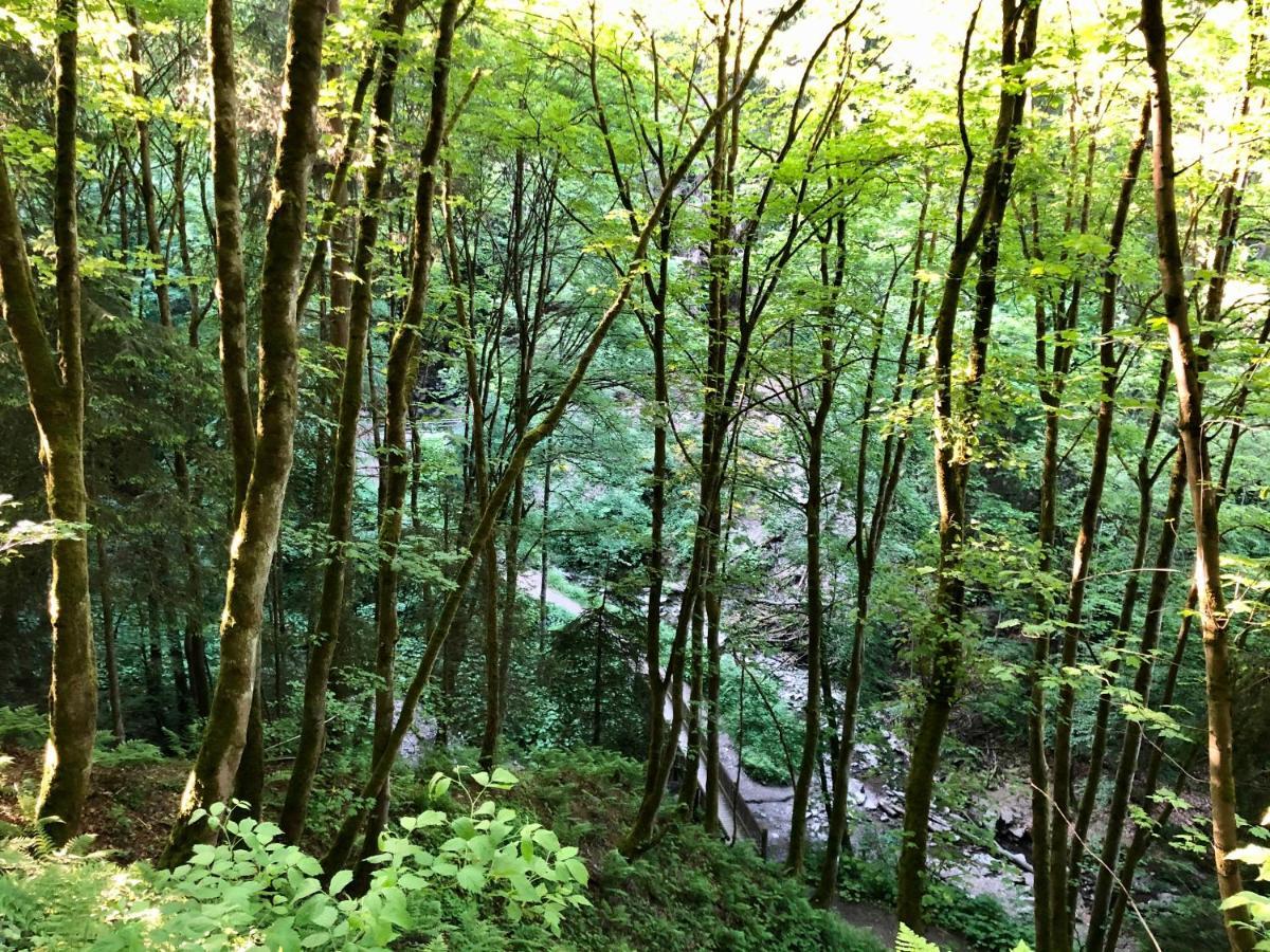 Berghotel Natura Bed & Breakfast Winterberg Bagian luar foto