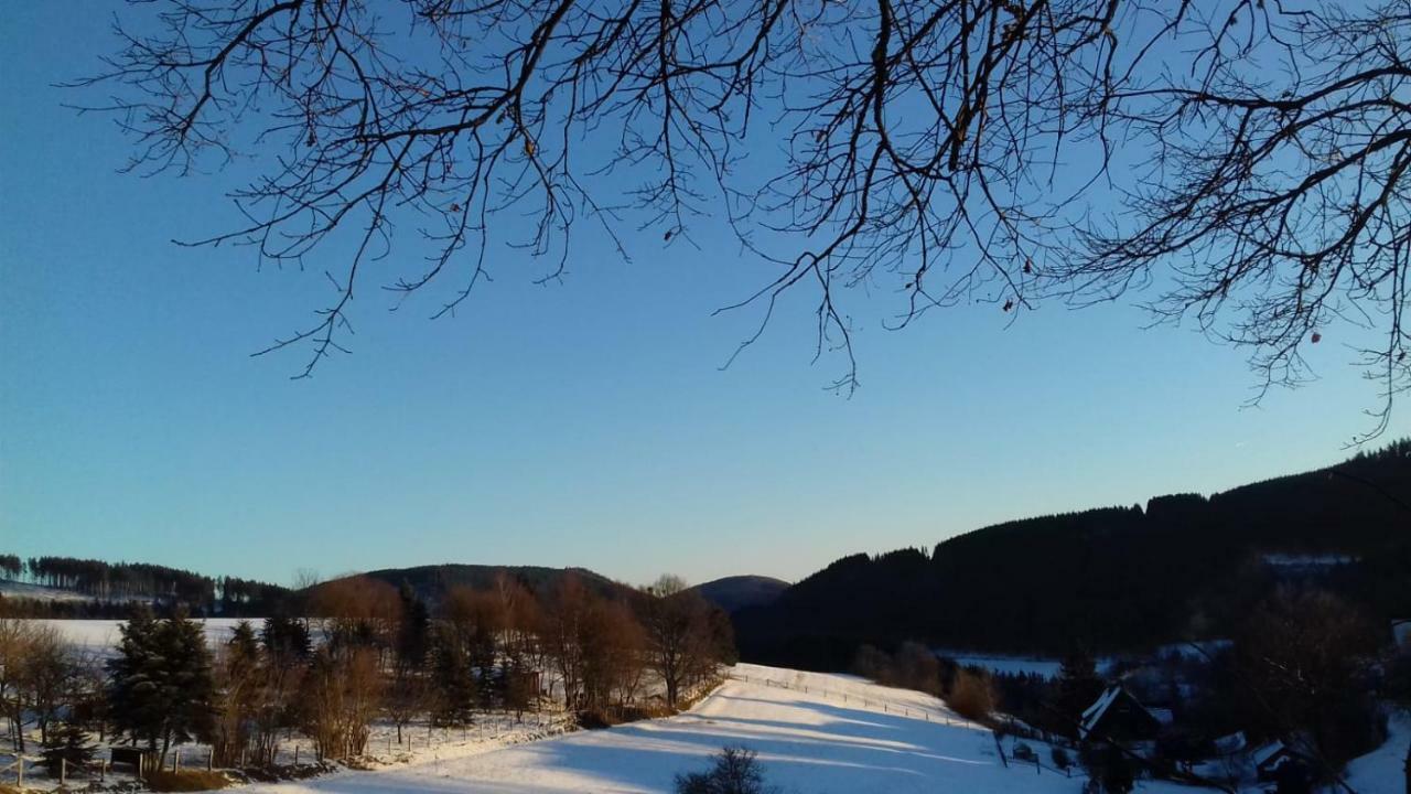Berghotel Natura Bed & Breakfast Winterberg Bagian luar foto